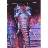 Ansichtkaart Olifant Loes Botman
