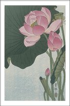 Walljar - Ohara Koson - Lotus Flower - Muurdecoratie - Poster