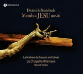 La Maitrise De Garçons De Colmar - La Chapelle Rhe - Membra Jesu Nostri (CD)