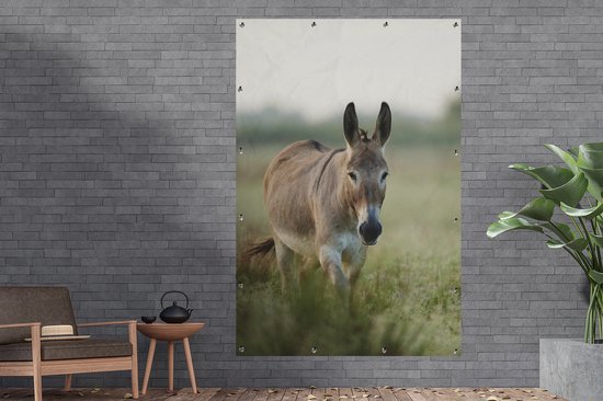 Décoration murale Un âne dans la nature de Camargue en France - 120x180 cm - Affiche jardin - Toile jardin - Affiche extérieur