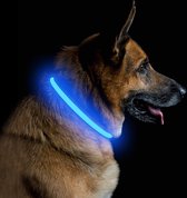 PetIsay Led-lichtgevende halsband voor honden en katten, USB-oplaadbaar, in lengte verstelbare veiligheidskraag voor honden en katten, 3 modi (blauw)