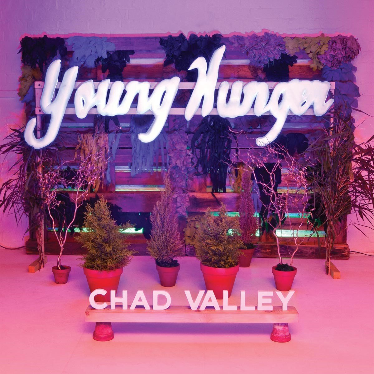 Chad Valley - Young Hunger (LP)