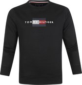 Tommy Hilfiger - Trui Lines Logo Zwart - M - Regular-fit