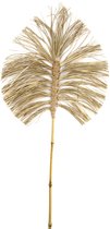 Cozy Ibiza-natuurlijk- gedroogd- decoratie blad- 118 cm