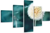 Schilderij - Paardenbloem, 5luik, premium print