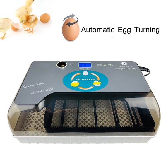 Automatische broedmachine, automatische broedmachine, automatische incubator 24/36 met automatisch flip-systeem en temperatuurregeling, geschikt voor kippeneieren, kwarteleitjes (15 eieren Automatische broedmachine, automatische broedmachine, automatische incubator 24/36 met automatisch flip-systeem en temperatuurregeling, geschikt voor kippeneieren, kwarteleitjes (15 eieren