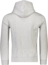 Polo Ralph Lauren  Hoodies Grijs voor heren - Lente/Zomer Collectie