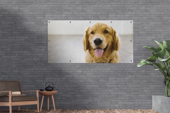 Décoration murale extérieur un super Golden Retriever - 160x80 cm - Toile de jardin - Affiche extérieure