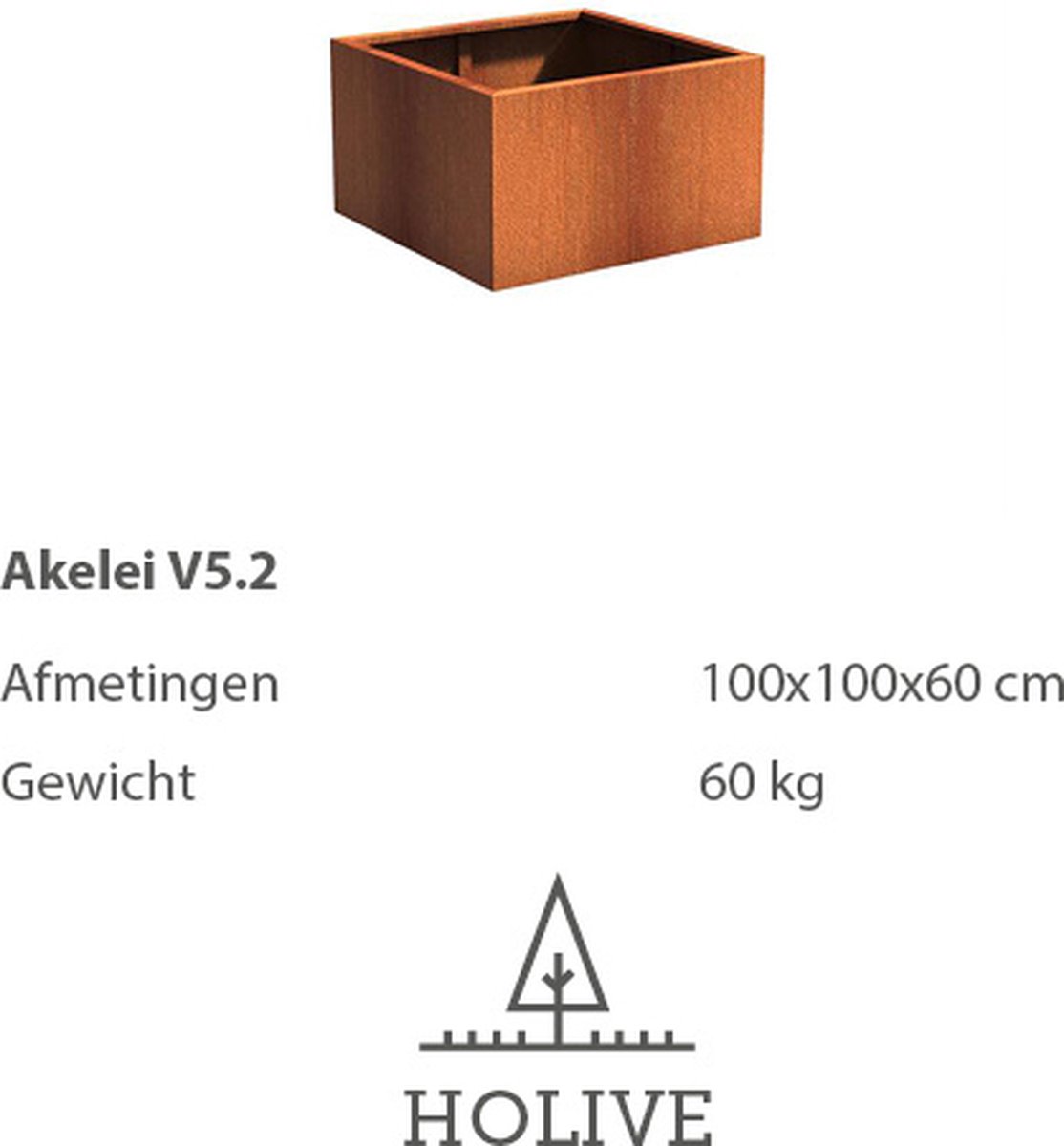 Cortenstaal Akelei V5.2 Vierkant 100x100x60 cm. Plantenbak