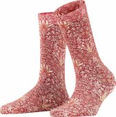 Burlington Snakeshead Morris & Co Damessok 27086 - Rood 8430 oxford Dames - 36-41