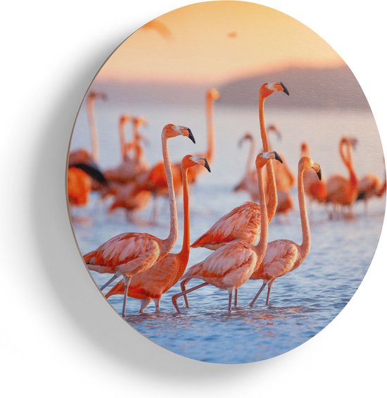 Artaza Houten Muurcirkel - Kudde Flamingo's in het Water - Ø 80 cm - Groot - Multiplex Wandcirkel - Rond Schilderij