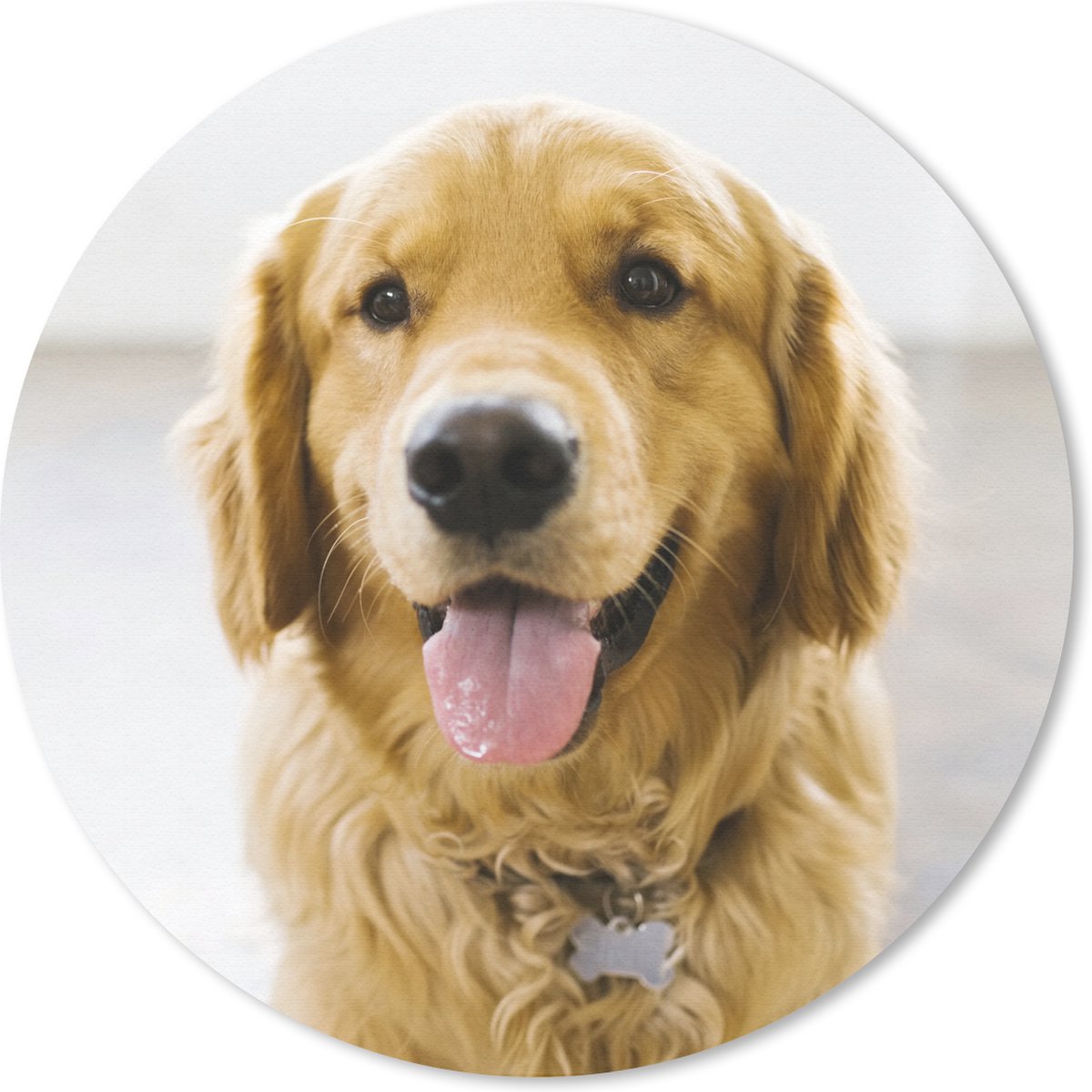 Muismat rond 40x40 cm - Mousepad Portret van een super mooie Golden Retriever - Ronde muismatten