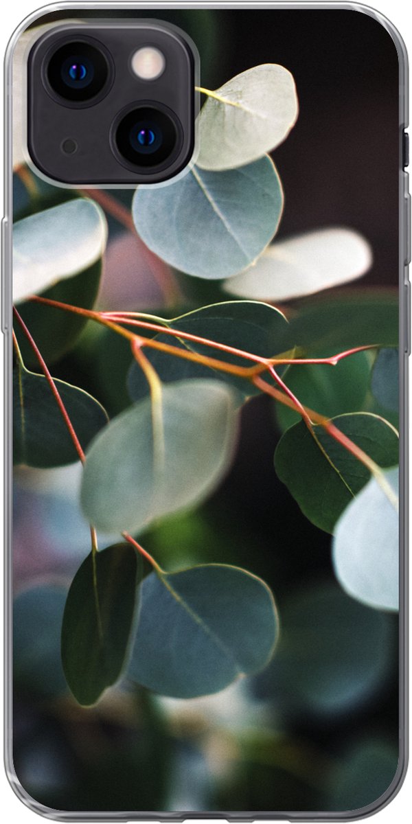 iphone 13 mini eucalyptus