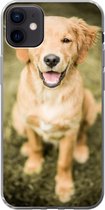 Geschikt voor iPhone 12 mini hoesje - Een portret van een Golden Retriever puppy in de tuin - Siliconen Telefoonhoesje