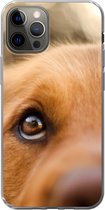 Geschikt voor iPhone 13 Pro hoesje - De twinkeling in het oog van de Golden Retriever - Siliconen Telefoonhoesje
