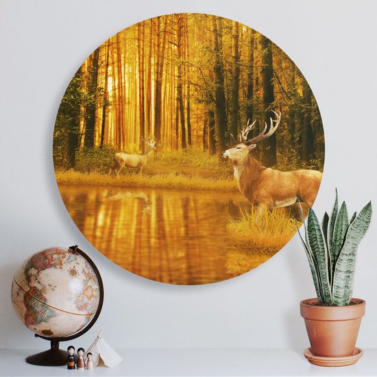 Cercle Mural Artaza Dibond - Deux Cerfs Dans La Forêt Près De L' Water - Ø 40 cm - Klein - Cercle Mural - Tableau Rond - Pour Intérieur Et Extérieur