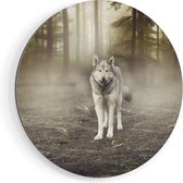 Artaza Dibond Muurcirkel Grijze Wolf In Het Bos - Ø 60 cm - Wandcirkel - Rond Schilderij - Voor Binnen en Buiten