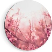 Artaza Cercle mural Dibond Arbre à fleurs roses avec soleil - Ø 80 cm - Groot - Cercle mural - Tableau rond - Pour intérieur et extérieur