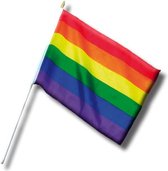 Fanion Pride LGBT+ Petit 30 cm