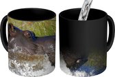 Magische Mok - Foto op Warmte Mok - Nijlpaard - Water - Gras - 350 ML