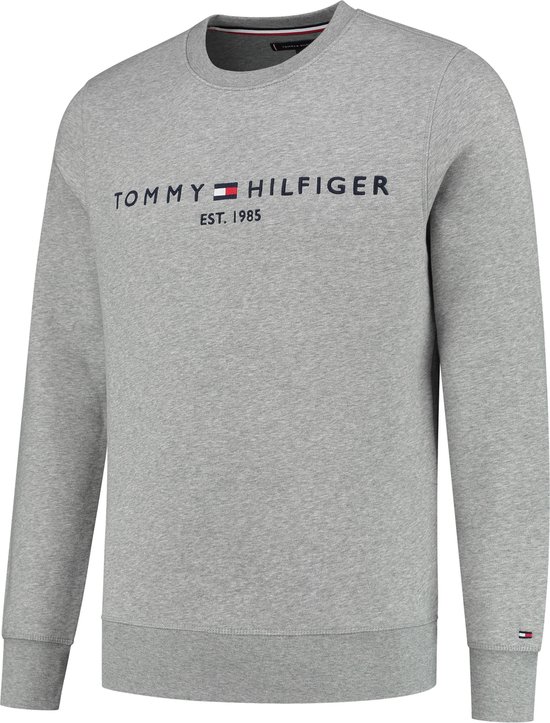 Tommy Hilfiger Trui Mannen - Maat L | bol.com