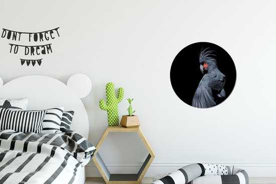 Cacatoès noir sur fond noir Cercle mural aluminium ⌀ 30 cm - Tirage photo sur cercle mural / cercle vivant / cercle de jardin (décoration murale)