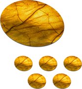 Onderzetters voor glazen - Rond - Bladeren - Geel - Structuur - 10x10 cm - Glasonderzetters - 6 stuks