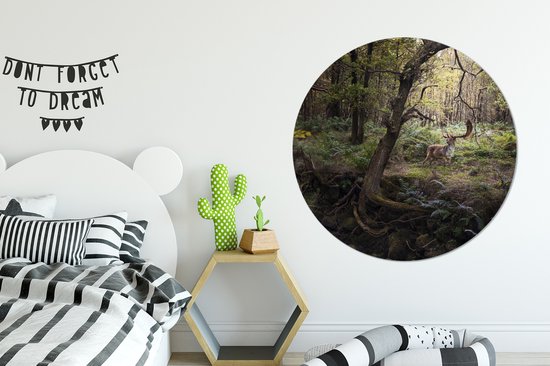 Cercle mural - Stickers muraux - Cercle de papier peint - Animaux de la forêt - Cerf - Soleil - Ø 120 cm - Cercle mural - Autocollant - Sticker mural rond XXL