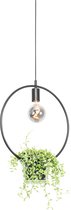 QAZQA roslini - Moderne Hanglamp - 1 lichts - L 40 cm - Zwart - Woonkamer | Slaapkamer | Keuken