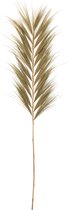 Tak | riet | groen | 202x70x (h)2 cm