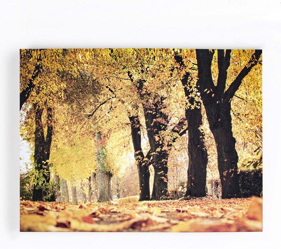 Art for the Home | Herfst - Canvas - 75x100cm
