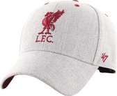 47 Brand EPL FC Liverpool Storm Cloud Cap EPL-STMCD04WHV-CC, Mannen, Grijs, Pet, maat: One size