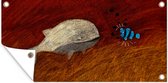 Tuinposter Tekening van een walvis en een anemoonvis - 80x40 cm - Wanddecoratie Buiten - Tuinposter - Tuindoek - Schuttingposter - Tuinschilderij