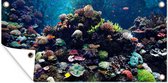 Tuinposter Aquarium met tropische vissen en koralen - 80x40 cm - Wanddecoratie Buiten - Tuinposter - Tuindoek - Schuttingposter - Tuinschilderij