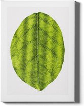 Walljar - Leaf - Muurdecoratie - Canvas schilderij