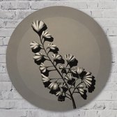 3D muurcirkel - Ecru - 80 cm Aluminium Muurcirkel - Bloemen en Planten - Wanddecoratie - Rond Schilderij - Wandcirkel