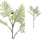 PTMD Leaves Plant Kruidje-Roer-Me-Niet Kunsttak - 36 x 31 x 77 cm - Groen