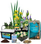 Vijver Starter Pakket Kleine Vijver - Voor Ca. 1000 Liter Water - 19 Winterharde Vijverplanten - Inclusief Grond, Substraat, Bacteriën, Vijvermanden, en Benodigdheden - Van der Velde Waterpla