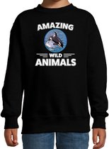 Sweater orka - zwart - kinderen - amazing wild animals - cadeau trui orka / orka walvissen liefhebber 3-4 jaar (98/104)