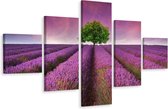Schilderij - Boom in een lavendelveld, 5luik, premium print
