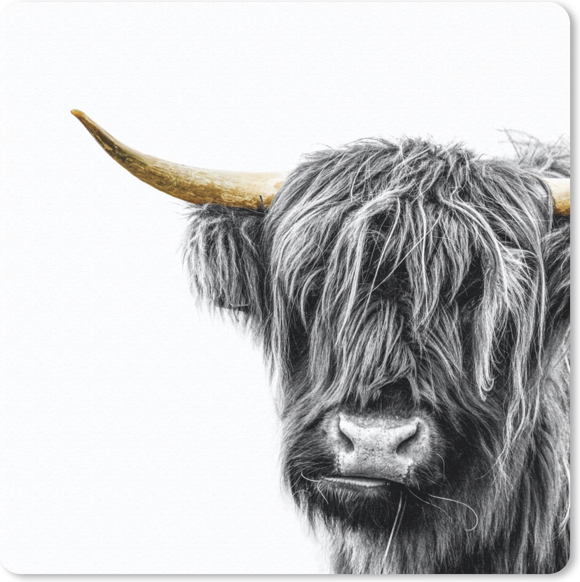 Muismat 30x30 cm - Mousepad Schotse Hooglander - Dieren - Gouden Hoorns - Muismatten