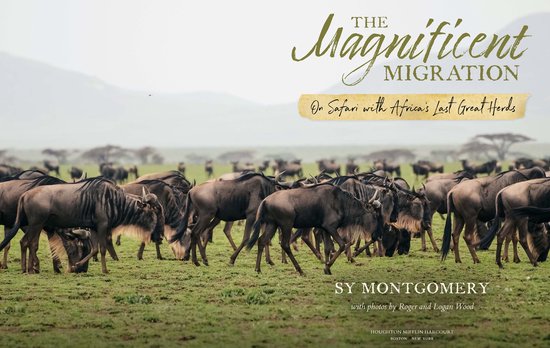 The Magnificent Migration - cover