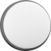 Buitenlamp AGAT - Tuinverlichting 4000K - Buitenverlichting met IP54 - Muurlamp 800lm - Wandlamp buiten IK08 - Antraciet