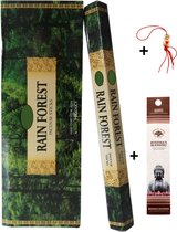2 Kokers - Wierook - Wierookstokjes - Wierooksticks - Incense sticks - Rain Forest - Regenwoud - 40 stokjes + 5 mini wierookstokjes + Gelukspoppetje