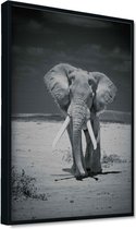 Akoestische panelen - Geluidsisolatie - Akoestische wandpanelen - Akoestisch schilderij AcousticPro® - paneel met olifant in Amboseli national park, Kenia - Design 80 - Basic - 100