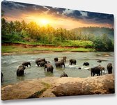Akoestische panelen - Geluidsisolatie - Akoestische wandpanelen - Akoestisch schilderij AcousticBudget® - paneel met olifanten in Sri Lanka - design 170 - 90x60 - Wanddecoratie - w