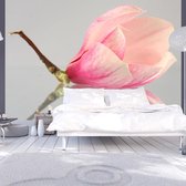 Fotobehang - Een eenzame magnolia bloem.