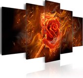 Schilderij - Flaming Rose.