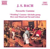 Bach: Favourite Cantatas - "Wedding" Cantata, etc