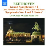 Gould Piano Trio - Uwe Grodd - Grand Symphonies, Vol. 1 (CD)